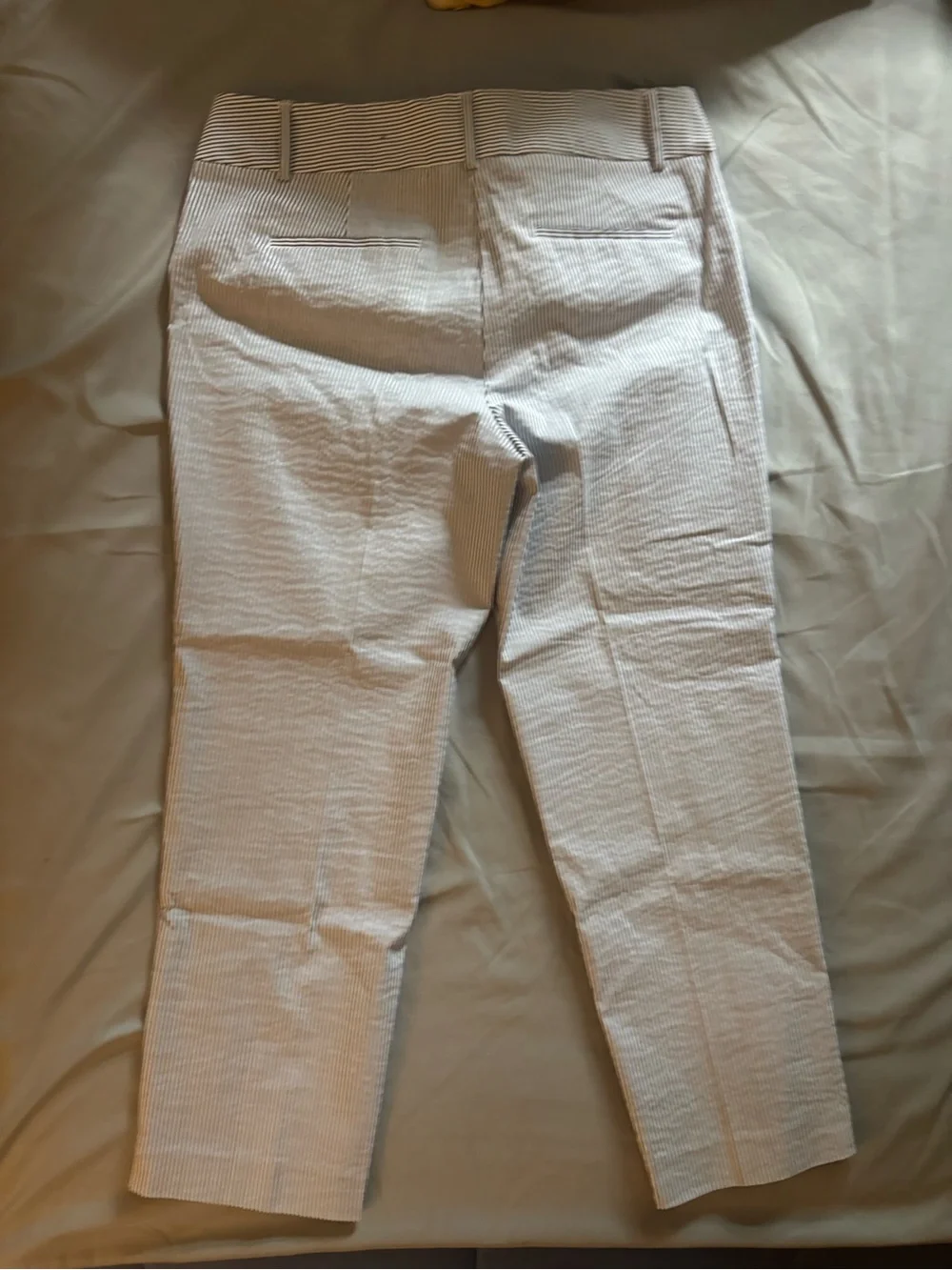 Ann Taylor Factory Signature Seersucker Ankle Pants Size 8 Blue & White Stripe